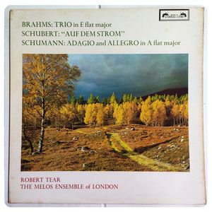 Trio In E Flat Major / "Auf Dem Strom" / Adagio And Allegro In A Flat Major · Johannes Brahms