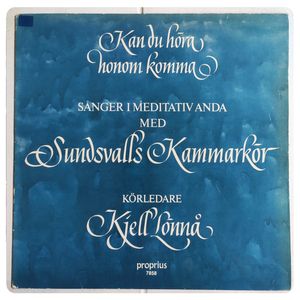 Kan Du Höra Honom Komma (Sånger I Meditativ Anda) · Sundsvalls Kammarkör